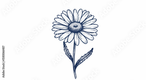 Daisy porcelain decoration design (dark blue)
