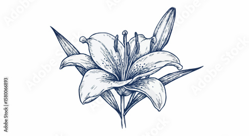 Lily porcelain decoration design (dark blue)