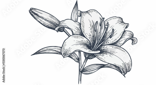 Lily porcelain decoration design (dark green)