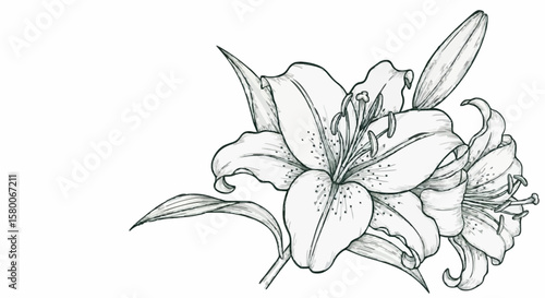 Lily porcelain decoration design (dark blue)