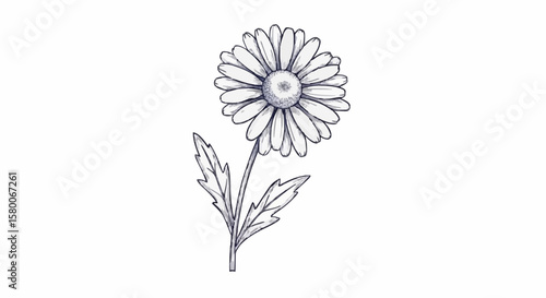 Daisy porcelain decoration design (dark blue)