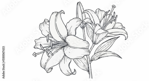 Lily porcelain decoration design (dark blue)