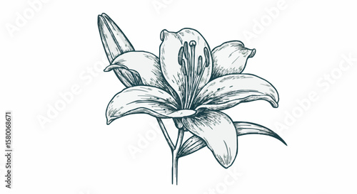 Lily porcelain decoration design (dark blue)