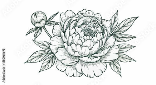 Peony porcelain decoration design (dark green)