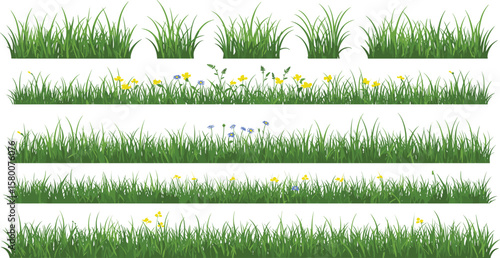 Green grass with wildflowers vector set, spring and summer grass border illustration, meadow flower design element, floral grass landscape clipart