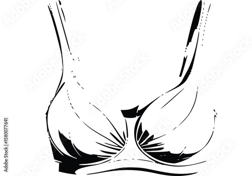 vector illustration of bra