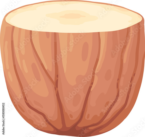Cartoon nut design. Nut snacks frame, hazelnut, walnut, almond and pistachio frame of polygon shape flat vector illustration. Nuts border frame