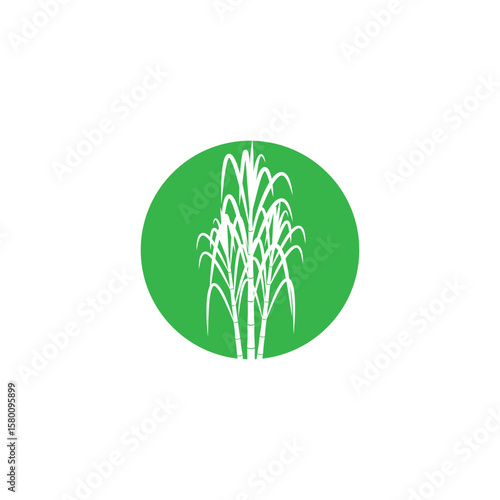 Sugarcane logo vector and symbol design