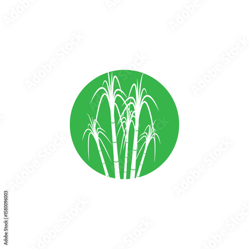 Sugarcane logo vector and symbol design