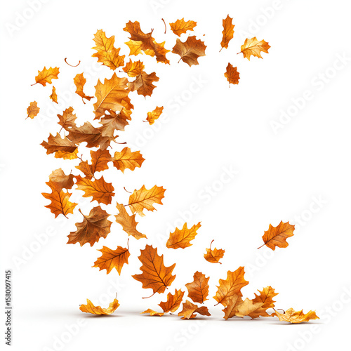 A dynamic swirl of golden brown autumn oak leaves blowing in the wind from a pile on the ground against a white background.