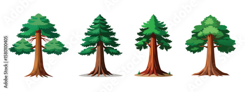 Four different cartoon drawings of tall sequoia trees on a white background