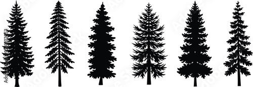 Silhouette Variety A Group of Isolated Evergreen Trees Illustration Black and White