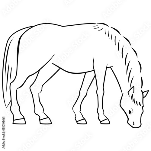 草を食べる馬の線画ベクターイラスト