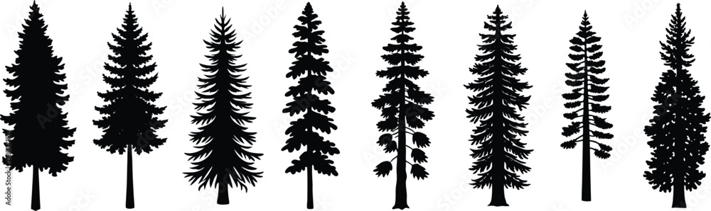 Obraz premium Silhouette Array of Evergreen Trees Showing Different Shapes and Foliage Density