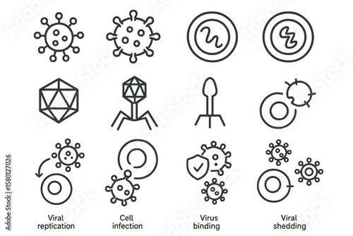 Virus and bacteriophage icons depicting replication, infection, and shedding