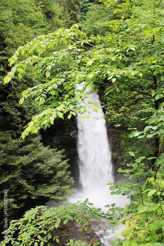 waterfall in the forest