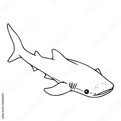whale shark outline vector