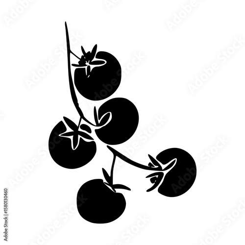 tomato vine silhouette art
