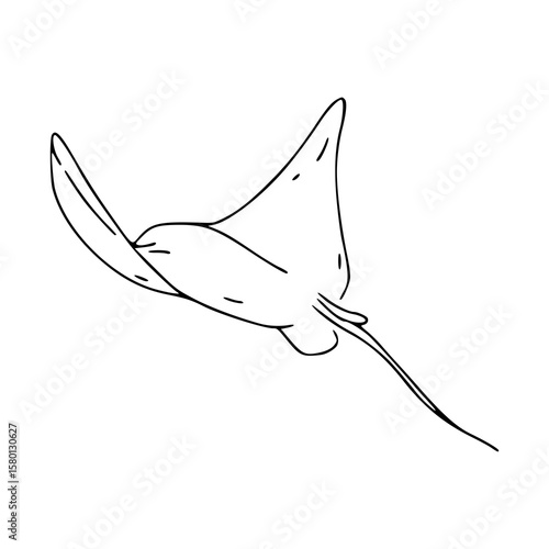 minimalist ocean manta ray sketch