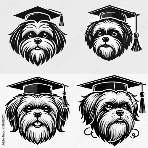 Shih Tzu Dog. With Graduation Diploma Cap Graduate Clipart Line Art Vector Illustration. Tiny breed details attribute behavior and care advice.