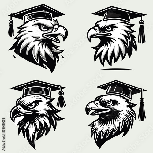 Hawk. With Graduation Diploma Cap Graduate Clipart Line Art Vector Illustration. Bird of prey seeing a raptor its diet behavior and wild predator animal.