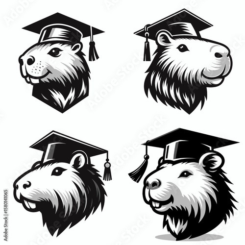 capybara. With Graduation Diploma Cap Graduate Clipart Line Art Vector Illustration. Rodent kin big water loving friendly pet cute mammal of south america.