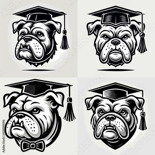 Bulldog Dog. With Graduation Diploma Cap Graduate Clipart Line Art Vector Illustration. Stout canine breed info lovable pet care adoption guide.