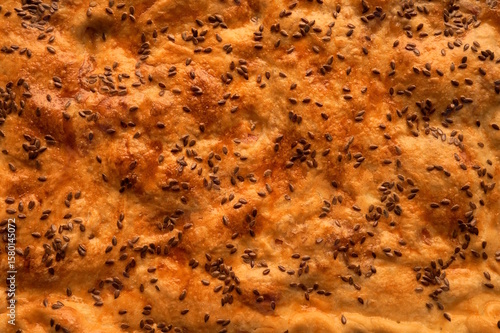surface of a fried, ruddy pie with flax seeds. background. macro.
