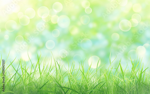 Fresh green grass with abstract bokeh light background. Vibrant nature scene for spring and summer concept. Bright environmental outdoor view.