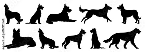 Wolfhound Dog Silhouette Collection In Various Poses Including Standing, Sitting, Walking And Lying Down, Minimalist Black Vector Art Isolated On White Background