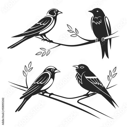 Wallpaper Mural Stylized Bird Illustrations on Branches – Black and White Minimalist Wildlife Silhouette Set Torontodigital.ca
