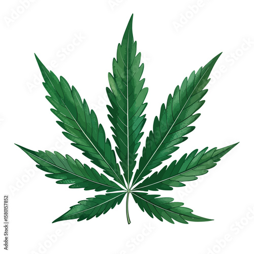 Detailed illustration of a green cannabis leaf with jagged edges