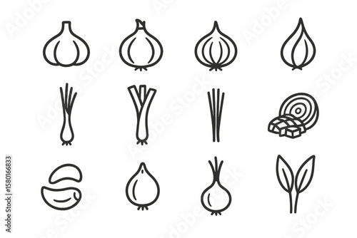 Monochrome vegetable icons: garlic, onion, leek, chives, shallot, scallion