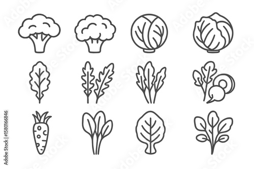 Stylized vegetable icons: broccoli, cauliflower, cabbage, spinach, carrot