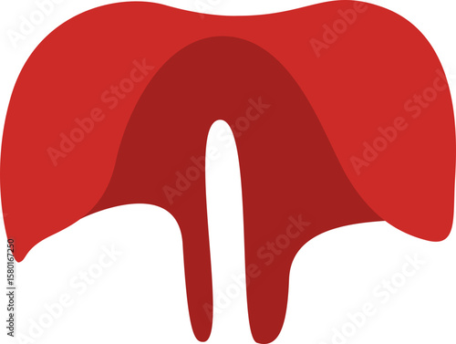 Diaphragm illustration