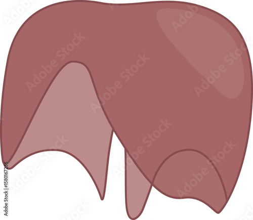 Diaphragm illustration
