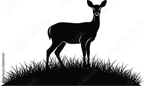 Black silhouette of a deer standing in grass animal wildlife