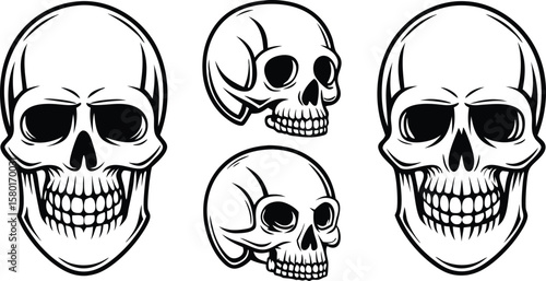 Four Black and White Skull Illustrations on White Background