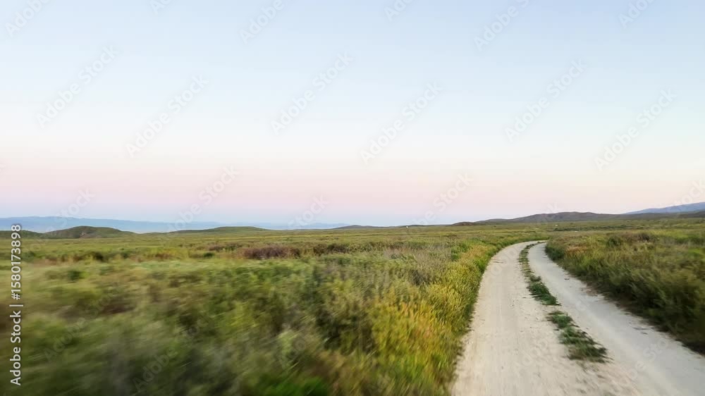 Scenic winding path through a field of green grass in the sunset Scenic winding path through a field of green grass in the sunset