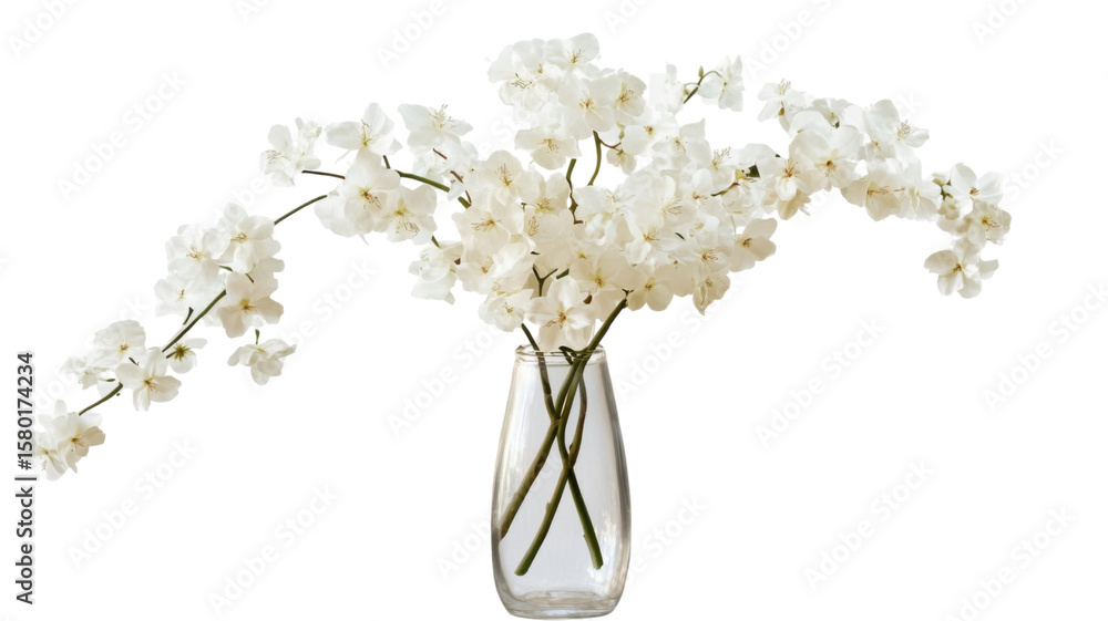 Obraz premium Single white flower stalk arranged in transparent glass vase on white background