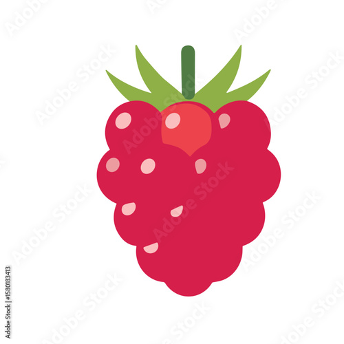 Illustration of a vibrant red raspberry with green leaves and stem, isolated on a white background.