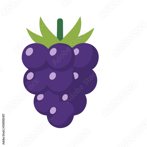 A vibrant illustration depicting a cluster of ripe, purple blackberries with green leaves.