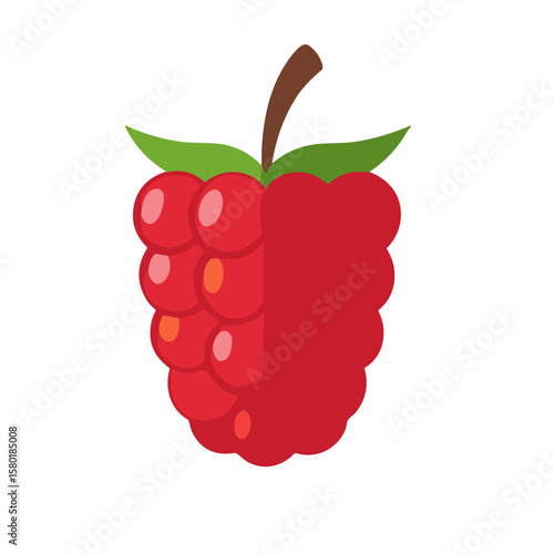 A vibrant, stylized illustration of a fresh, ripe raspberry fruit with green leaves.