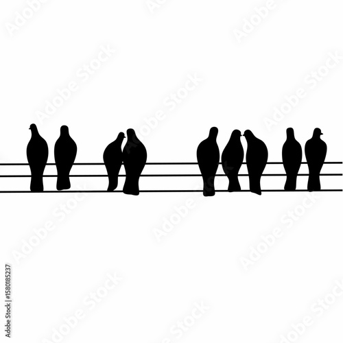 Silhouette of a flock of pigeons perched on an electric pole. A flock of birds perched on a cable.