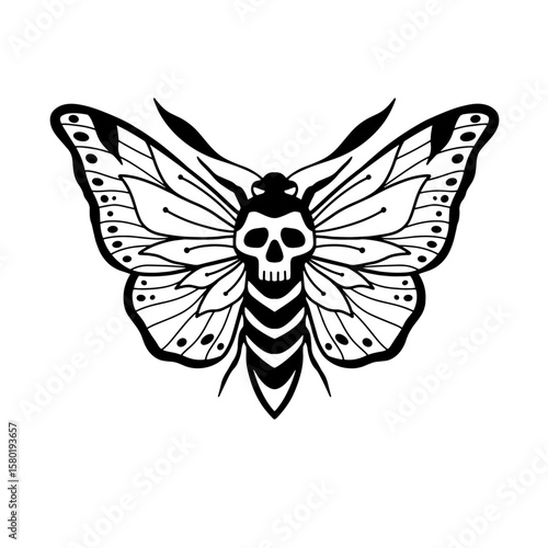 Skull Moth vector illustration, Deth moth tattoo design, Moth tattoo
