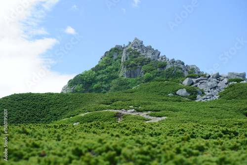 山
