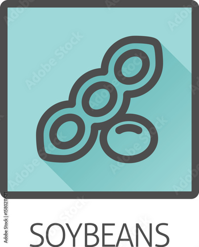 A soybean soy bean food allergen icon concept. Possibly an icon for the allergen or allergy.