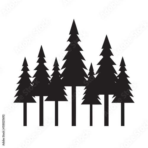 Straight Line Of Pine And Fir Trees