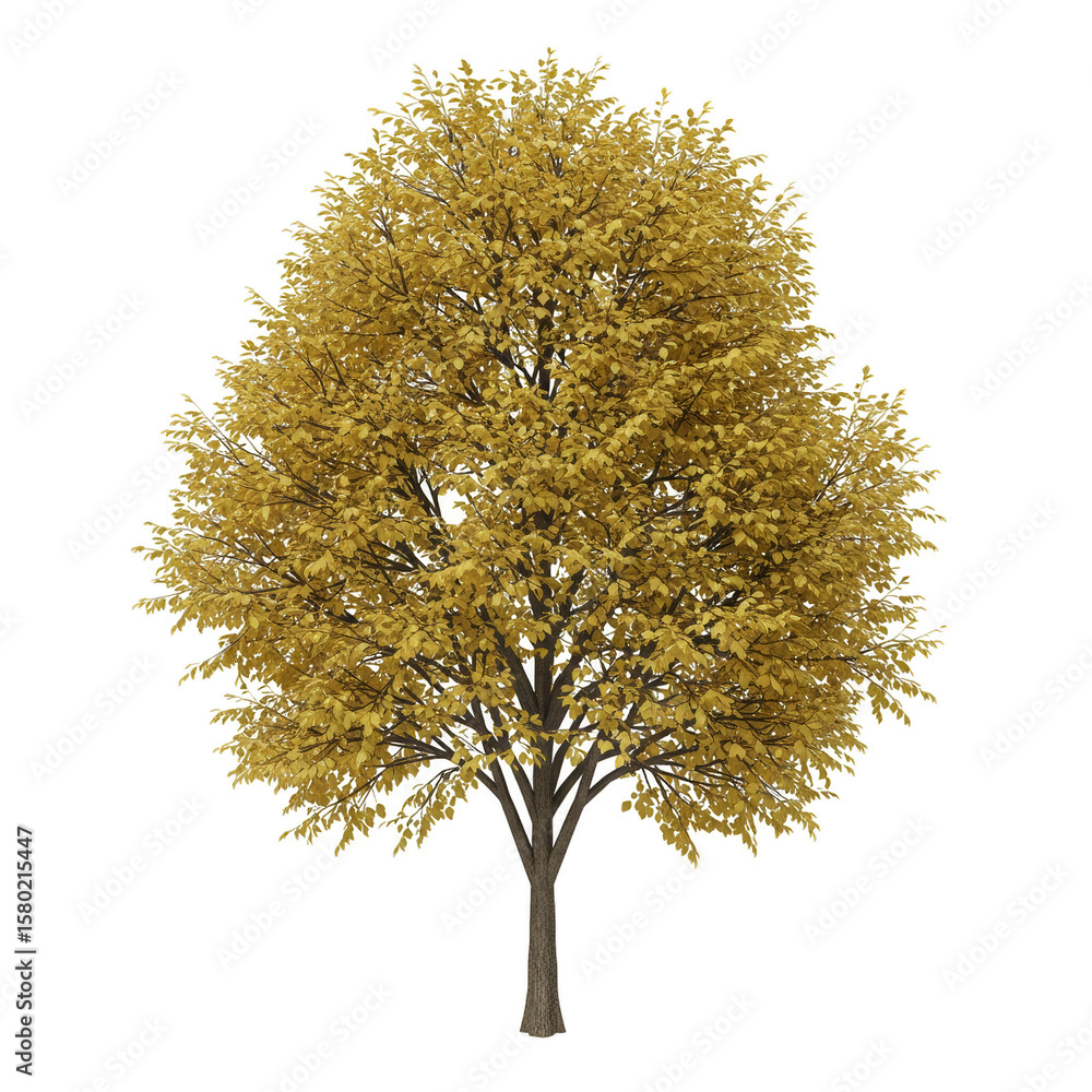 Fototapeta premium Isolated Autumn Tree with Yellow Leaves on Transparent Background