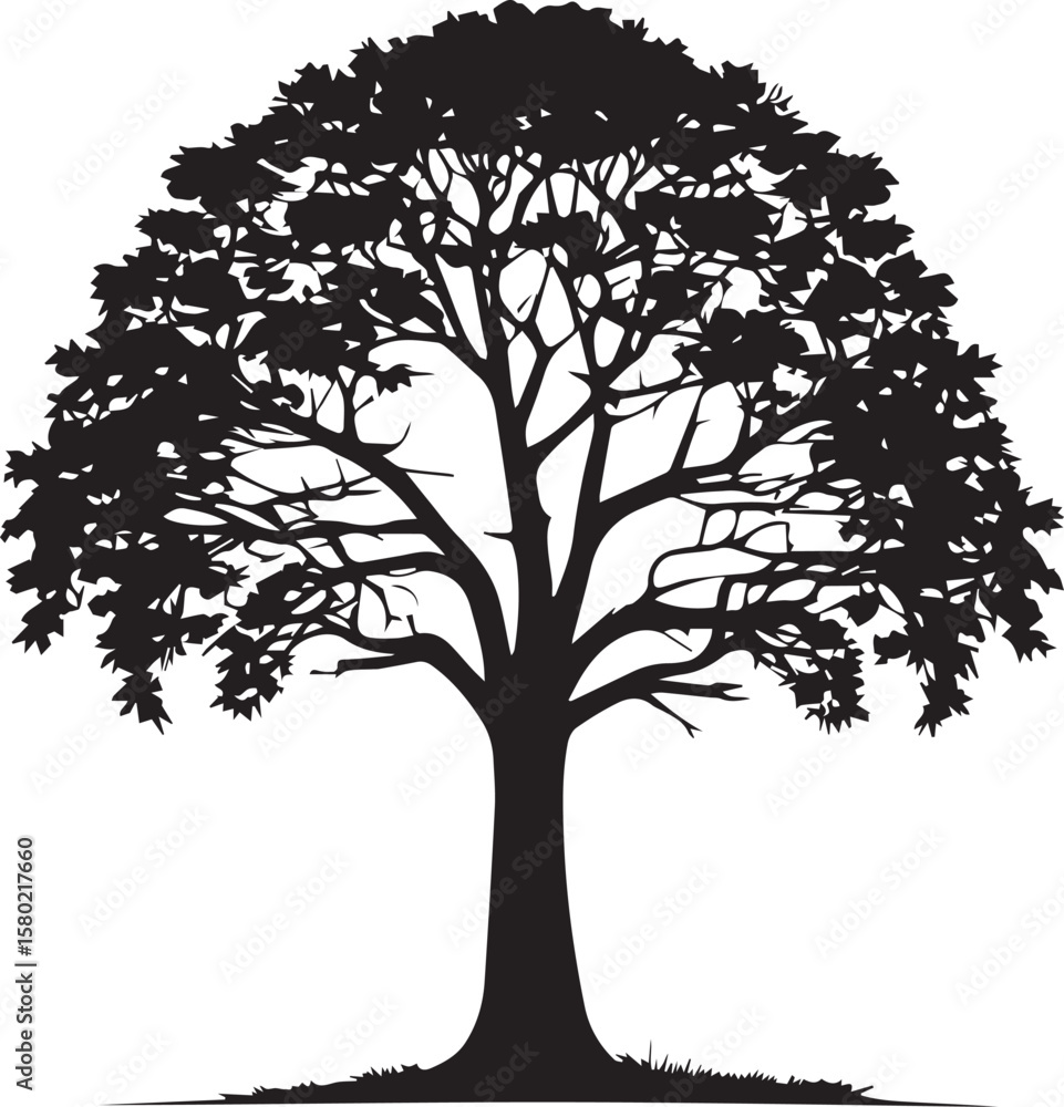 Fototapeta premium Tree silhouette Vector | Minimalist & Trendy Tree Silhouette Design | Unique & Stylish Tree Artwork for Vector design 